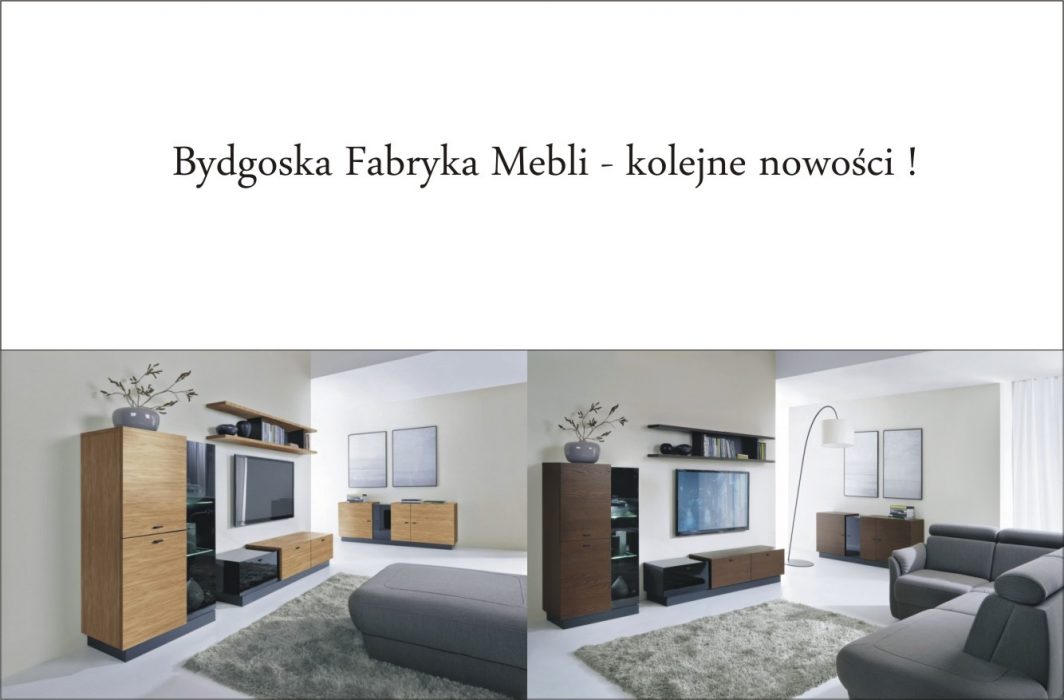 Bydgoska Fabryka Mebli - kolejne nowości !